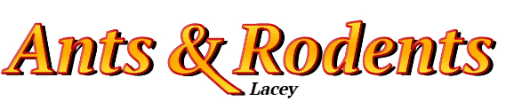 Lacey Ant Exterminator & Rodent Control Company Logo